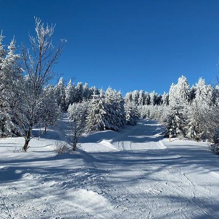 Aktiv-Ferienwohnung "Snow & Bike"- Zentral Zwischen Winterberg Und Willingen Luaran gambar