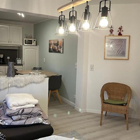 Aktiv-Ferienwohnung "Snow & Bike"- Zentral Zwischen Winterberg Und Willingen Luaran gambar