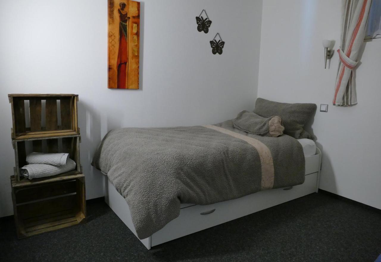Aktiv-Ferienwohnung "Snow & Bike"- Zentral Zwischen Winterberg Und Willingen Luaran gambar