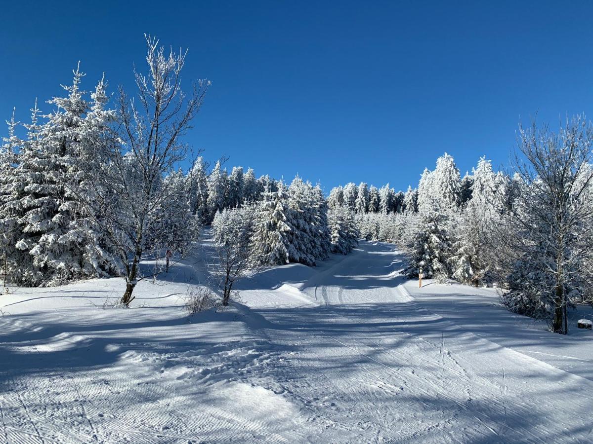 Aktiv-Ferienwohnung "Snow & Bike"- Zentral Zwischen Winterberg Und Willingen Luaran gambar