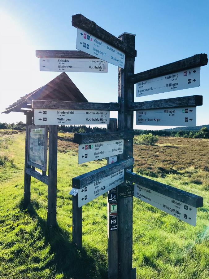 Aktiv-Ferienwohnung "Snow & Bike"- Zentral Zwischen Winterberg Und Willingen Luaran gambar