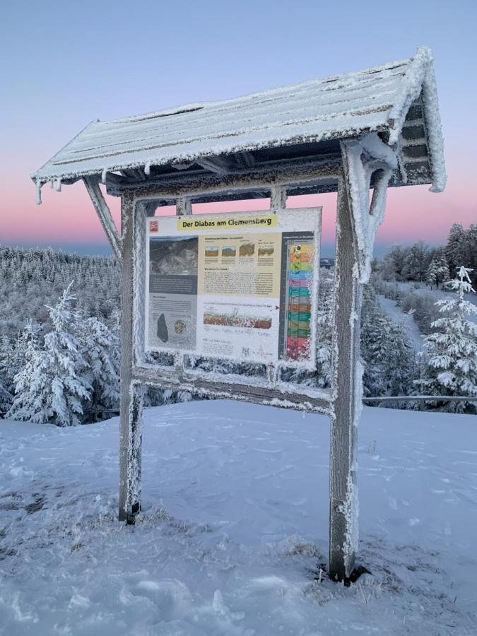 Aktiv-Ferienwohnung "Snow & Bike"- Zentral Zwischen Winterberg Und Willingen Luaran gambar