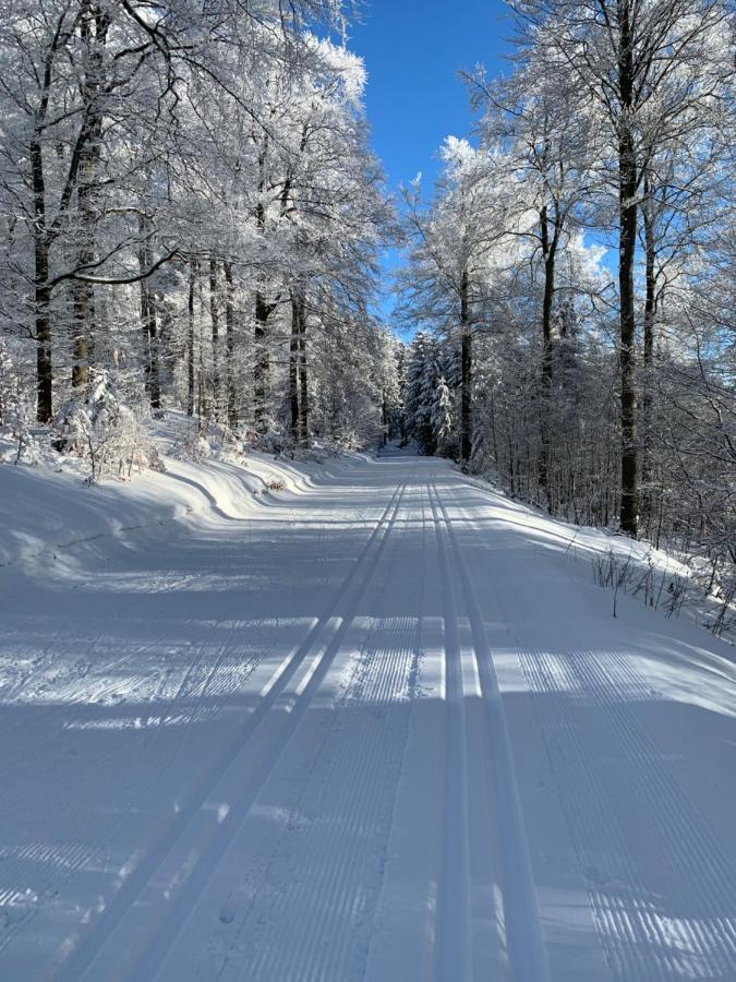 Aktiv-Ferienwohnung "Snow & Bike"- Zentral Zwischen Winterberg Und Willingen Luaran gambar